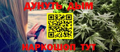 Альфа ПВП Новозыбков