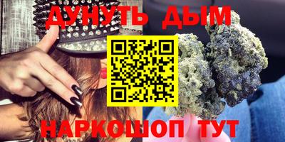 Альфа ПВП Новозыбков