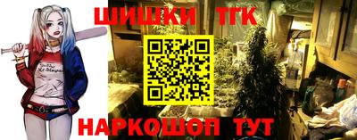 твердый Новодвинск