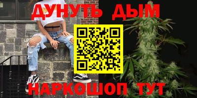 Альфа ПВП Новозыбков