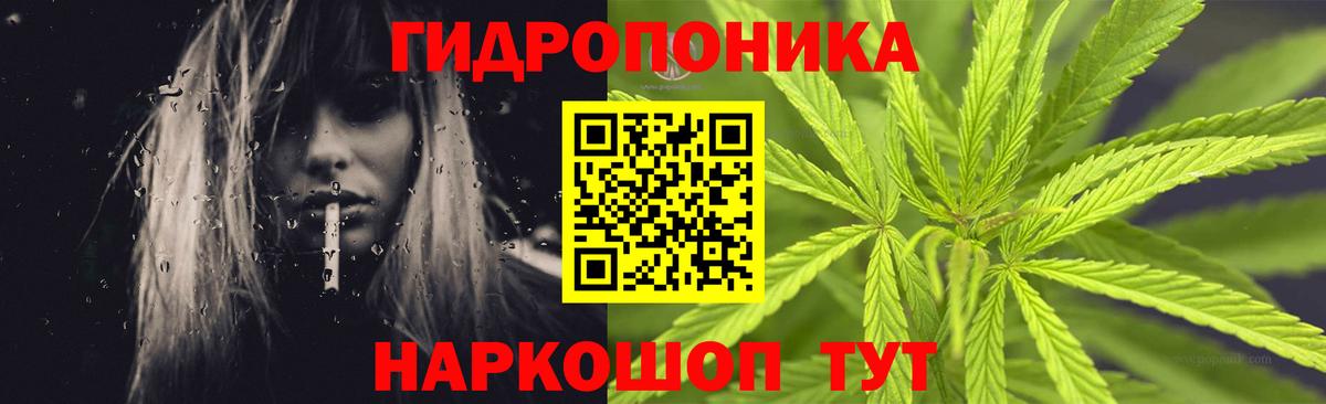 Канабис конопля  Каннабис сатива  Холмск  Вход с VPN  Канабис White Widow  Канабис White Widow 